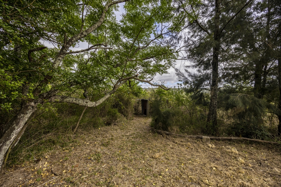 3 Bedroom Property for Sale in Summerpride Eastern Cape